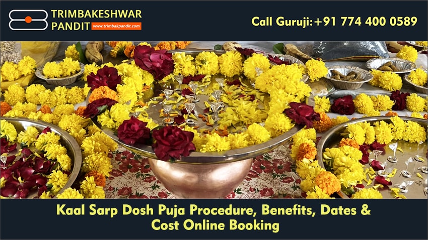 Kaal Sarp Dosh Puja – Procedure, Benefits, Dates & Cost – Online Booking