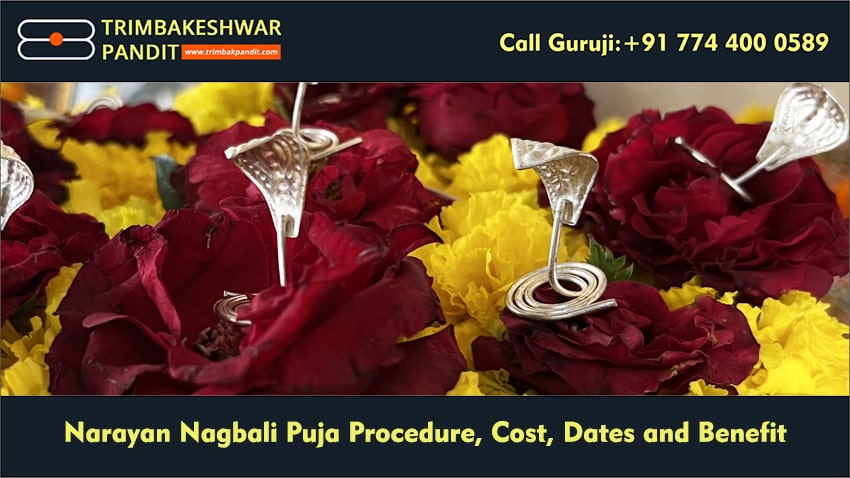 Narayan Nagbali Puja Procedure, Cost, Dates and Benefit